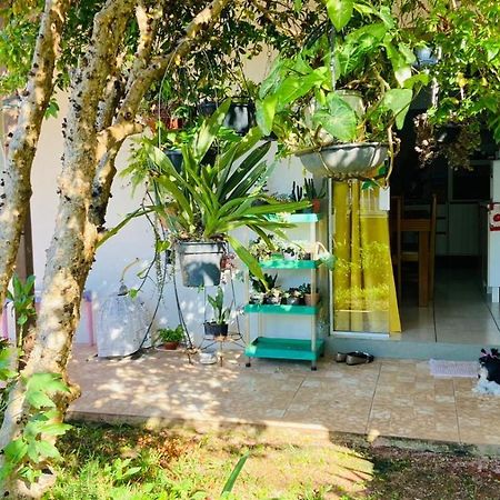 Para Desfutar Com A Familia Bombinhas Dış mekan fotoğraf